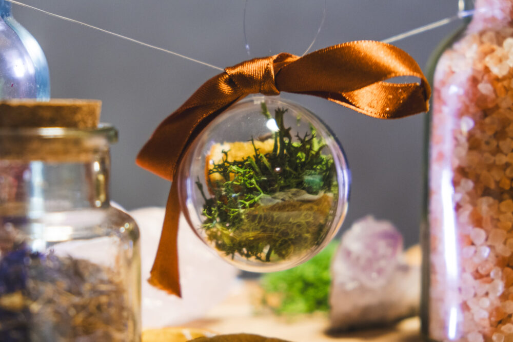 Boules Terrarium Magiques – Image 2