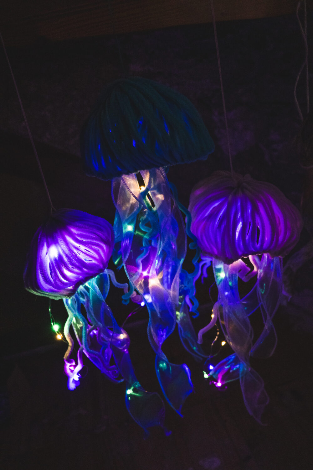 Méduse Lumineuse – Image 2