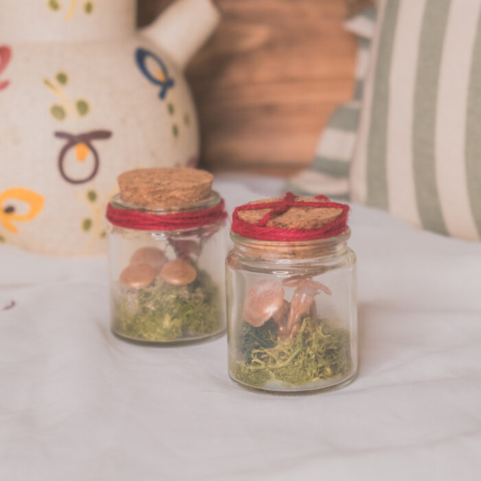 Bocaux remplis de petits champignons fait main