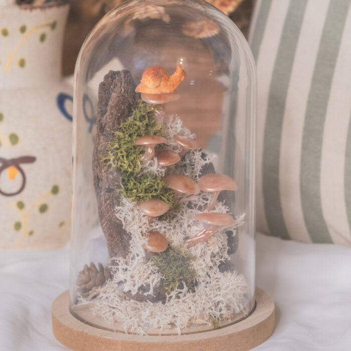 Terrarium avec champignons faits main